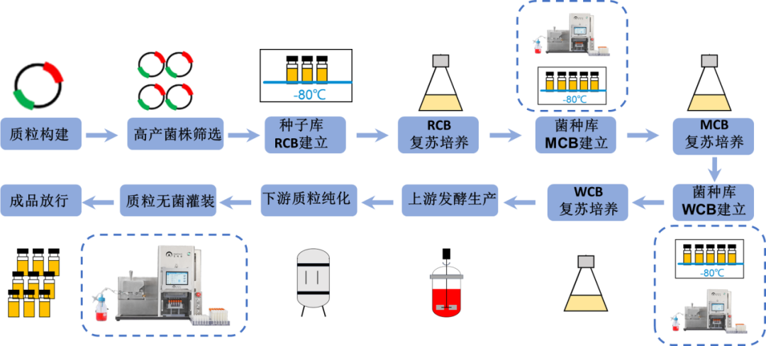 【收藏】細(xì)胞庫、菌株庫、質(zhì)粒庫的自動化灌裝解決方案