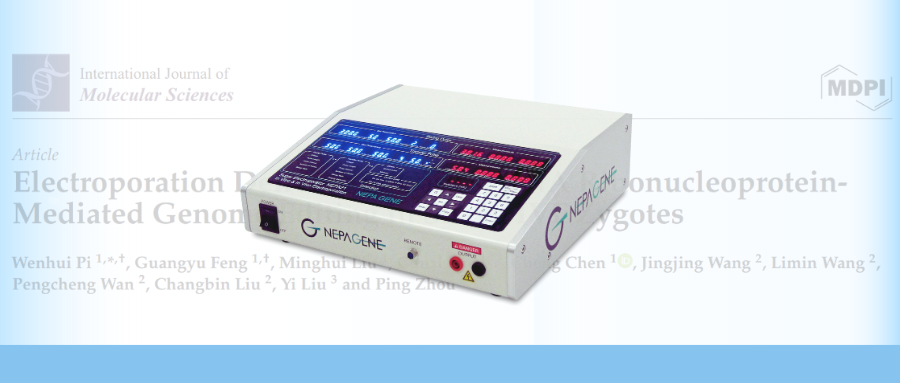 【重磅】電轉(zhuǎn)利器NEPA21，助力綿羊IVF受精卵基因組編輯
