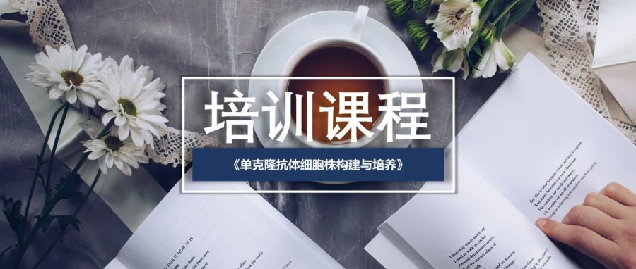 免費(fèi)培訓(xùn) | 單克隆抗體細(xì)胞株構(gòu)建與培養(yǎng)（免費(fèi)課程，報(bào)名從速）