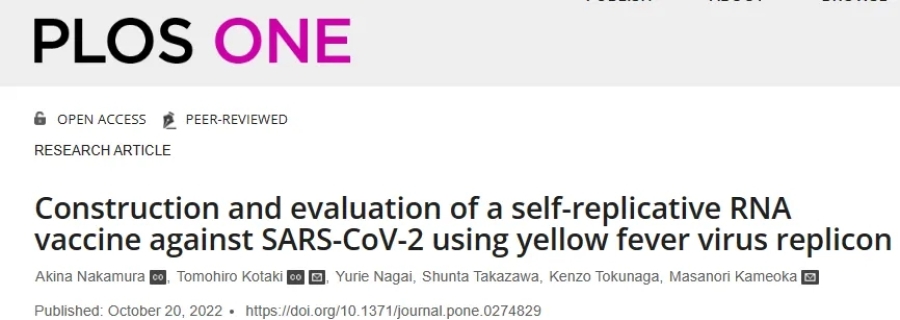 【NEPA21】利用黃熱病病毒復(fù)制子構(gòu)建SARS-CoV-2 repRNA疫苗及其檢測